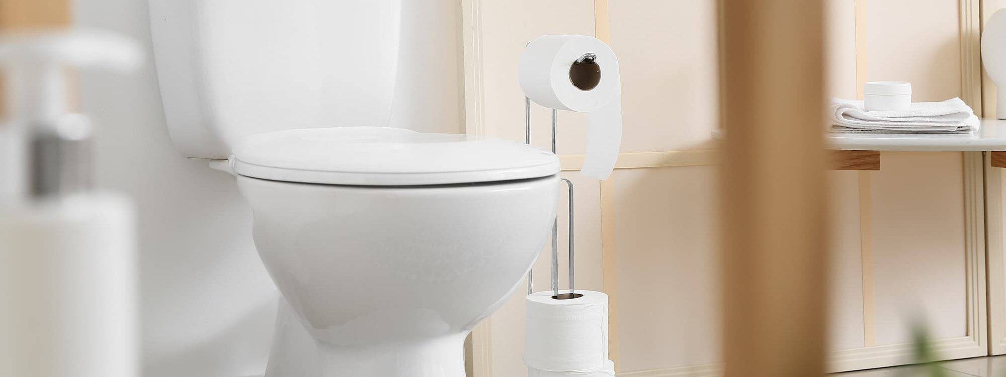Comment déboucher des toilettes ? Audincourt